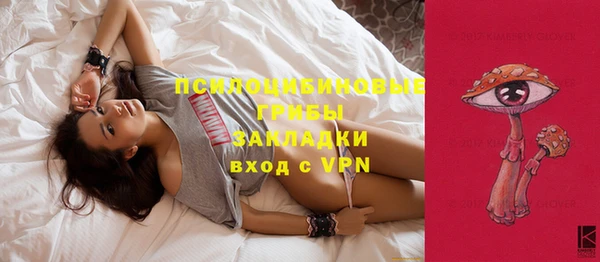 ГАЛЛЮЦИНОГЕННЫЕ ГРИБЫ Остров