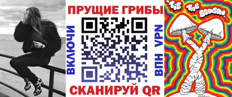 где купить наркоту  Шахунья  Галлюциногенные грибы мицелий 